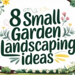 Small Garden Landscaping Ideas